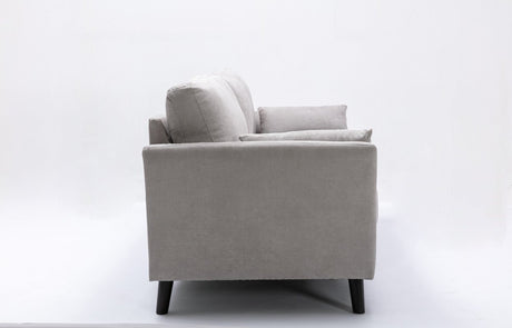 Damian Light Gray Velvet Fabric Sofa
