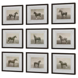 Equine Dynasty Framed Prints (Set of 9) - Gray by Uttermost - View 4
