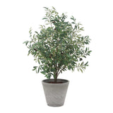 Marisol Potted Olive Plant - Gray / Green by Uttermost - View 5