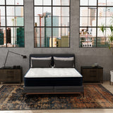 Hybrid 13 Inch Plush King Mattress with Pocketed Coils