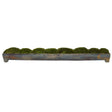 Canal Moss Centerpiece - Green / Dark Gray by Uttermost - View 1