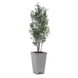 Sonora Olive Tree In Planter - Gray / Green by Uttermost - View 1