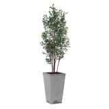 Sonora Olive Tree In Planter - Gray / Green by Uttermost - View 1