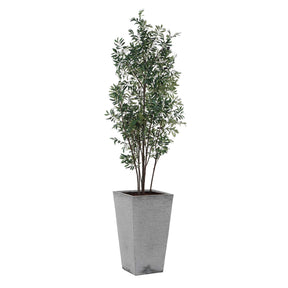 Sonora Olive Tree In Planter - Gray / Green by Uttermost - View 1