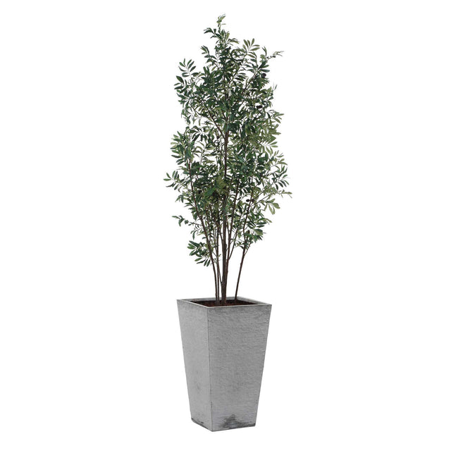 Sonora Olive Tree In Planter - Gray / Green by Uttermost - View 1