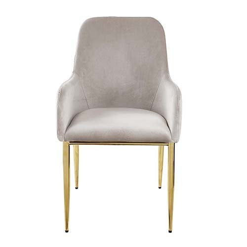 Barnard Side Chair (Set - 2) DN00220 Gray Velvet & Mirrored Gold Finish | Acme | Home Elegance USA