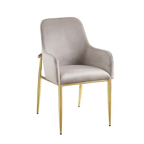 Barnard Side Chair (Set - 2) DN00220 Gray Velvet & Mirrored Gold Finish | Acme | Home Elegance USA