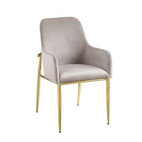 Barnard Side Chair (Set - 2) DN00220 Gray Velvet & Mirrored Gold Finish | Acme - DN00220 - Home Elegance USA - 4