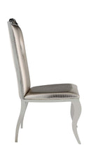 Cyrene Side Chair (Set - 2) DN00925 Beige Synthetic Leather | Acme | Home Elegance USA