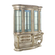 Danae Curio DN01200 Champagne & Gold Finish | Acme | Home Elegance USA