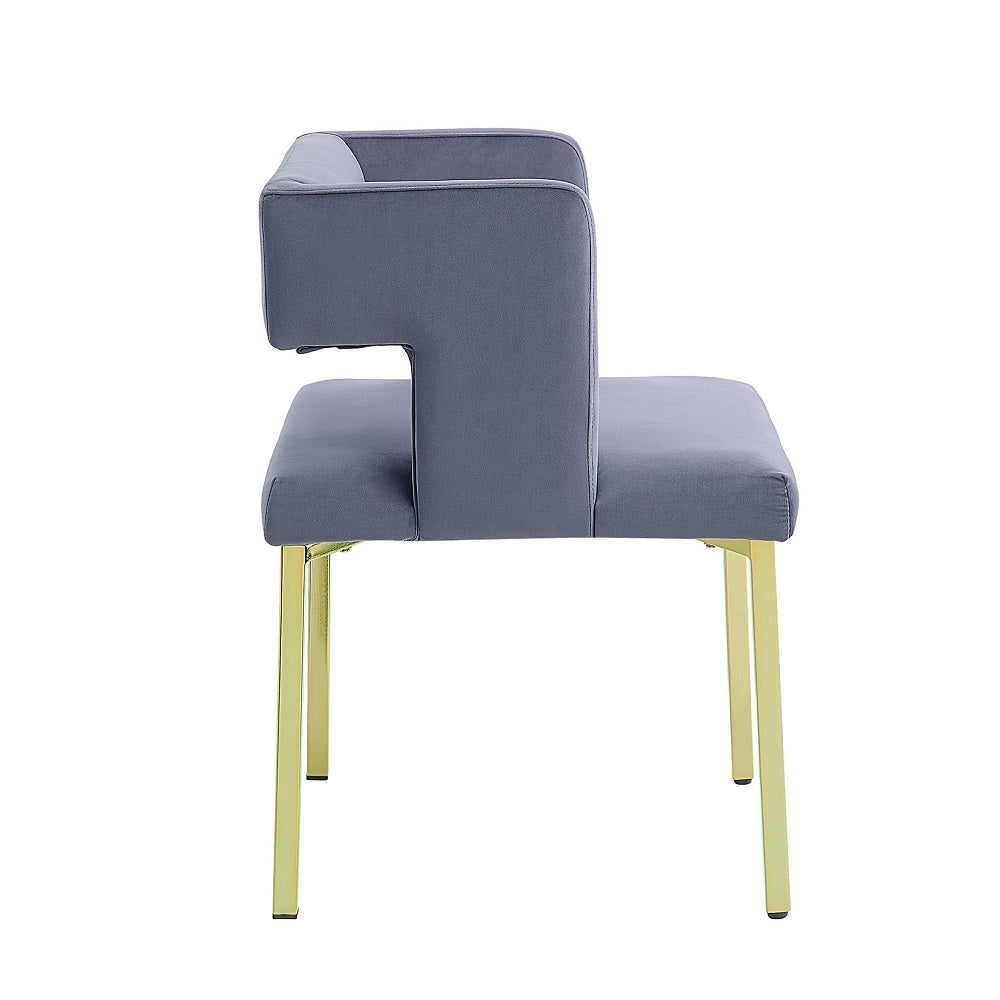 Acme - Zarriah Side Chair (Set-2) DN02233 Gray Velvet & Mirrored Gold Finish