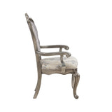 Ariadne Arm Chair (Set - 2) DN02283 Velvet & Antique Platinum Finish | Acme | Home Elegance USA