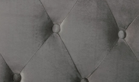 24603809
