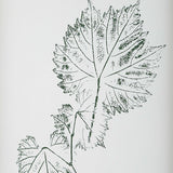 Nature's Script Framed Botanical Prints (Set of 9) Gold / Green / White - Gold / White by Uttermost - View 4