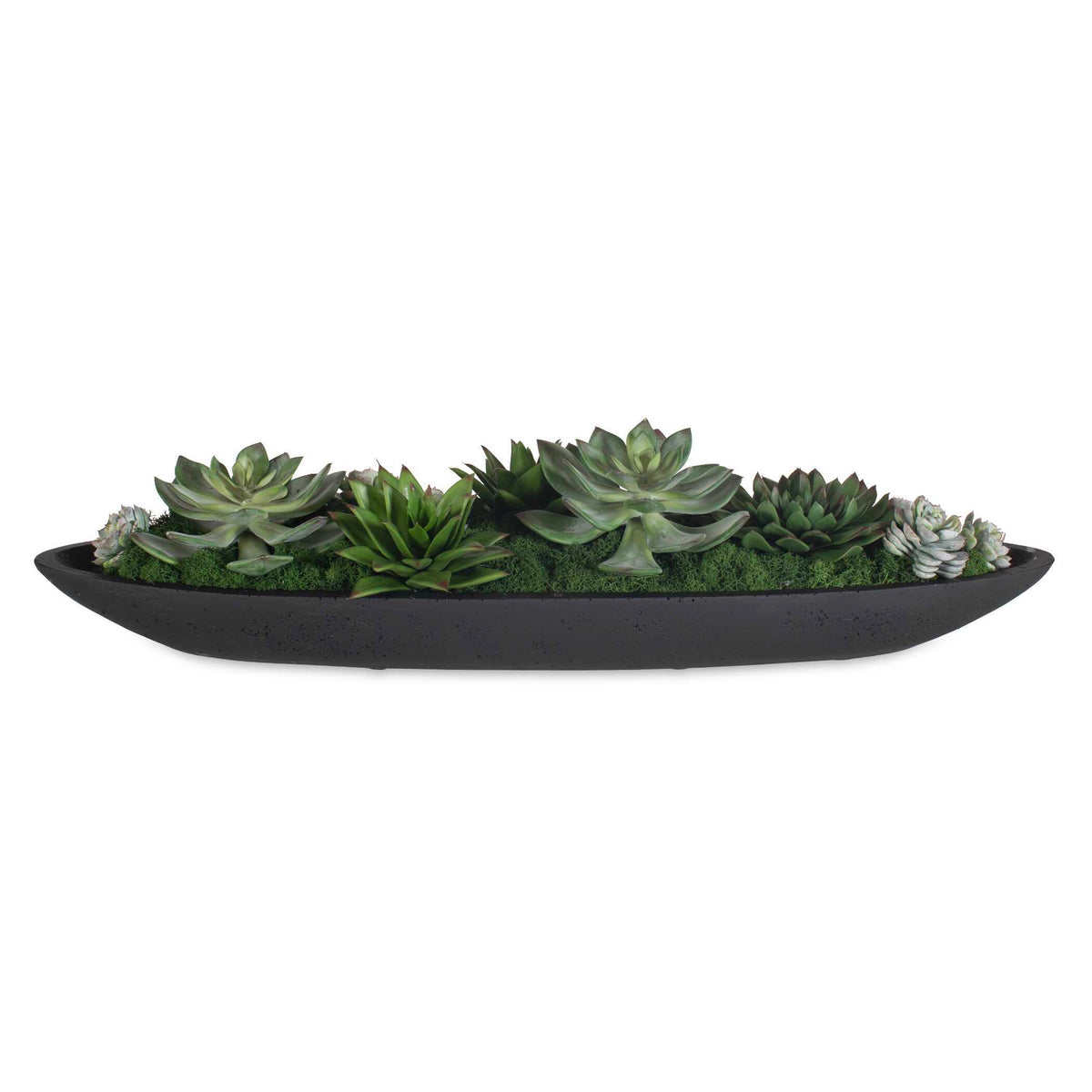 Verde Succulent Centerpiece In Bowl - Black / Green by Uttermost - View 1