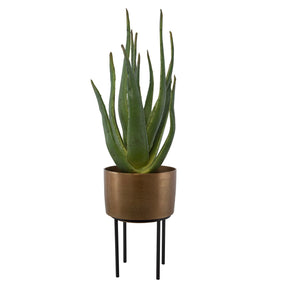Arabia Aloe Planter - Dark Brown by Uttermost - View 1