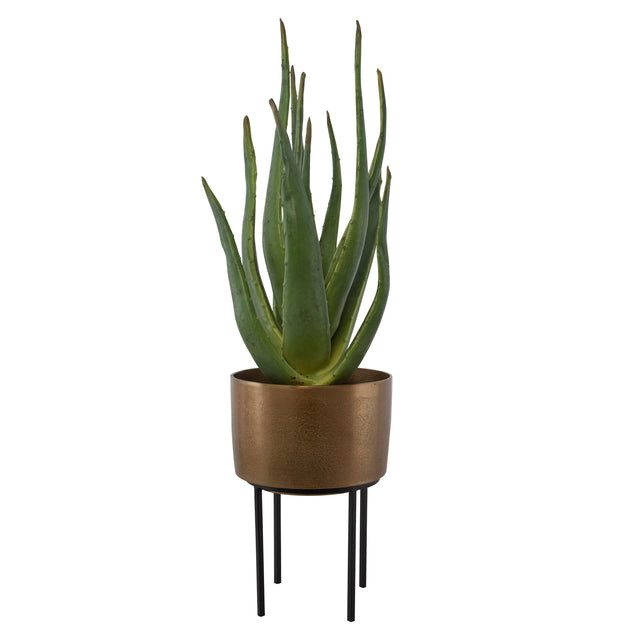 Arabia Aloe Planter - Dark Brown by Uttermost - View 1