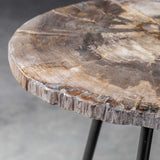 Mircea Petrified Wood Accent Table Black & Light Brown - Black / Light Brown by Uttermost - View 8