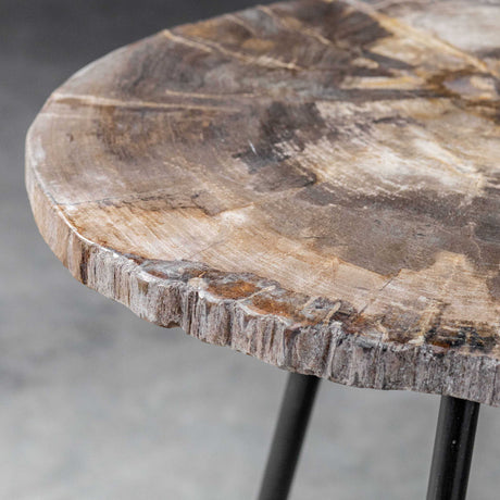 Mircea Petrified Wood Accent Table Black & Light Brown - Black / Light Brown by Uttermost - View 8