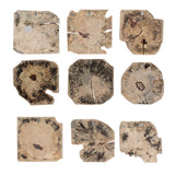 Bahati Wood Bleached Wall Decor (Set of 9) - Light Brown by Uttermost - View 5