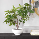 Pachira Money Money Tree - White by Uttermost - View 3