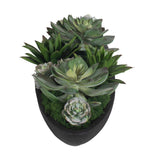 Verde Succulent Centerpiece In Bowl - Black / Green by Uttermost - View 5