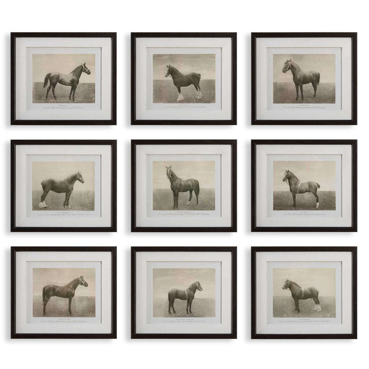 Equine Dynasty Framed Prints (Set of 9) - Gray by Uttermost - View 1