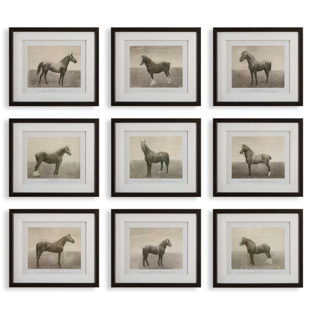 Equine Dynasty Framed Prints (Set of 9) - Gray by Uttermost - View 1