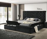 Luxurious 1pc Glam Tufted Headboard Upholstered Contemporary King Bed Multiple Storage Compartments Wooden Bedroom Furniture Black