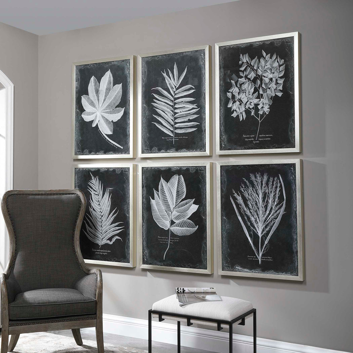 Foliage Framed Prints (Set of 6) - Black / Silver by Uttermost - View 3