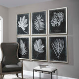 Foliage Framed Prints (Set of 6) - Black / Silver by Uttermost - View 3