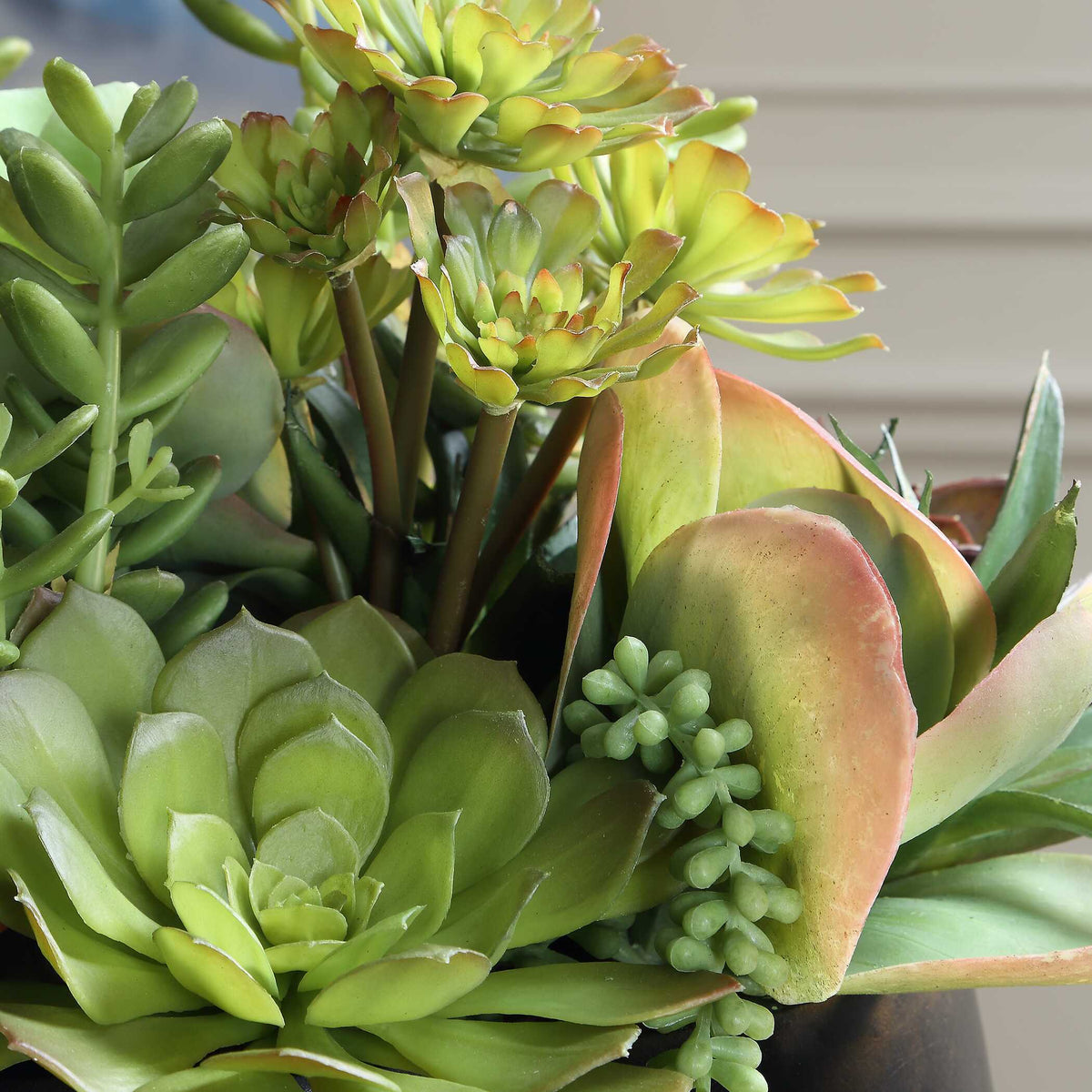 Mico Indoor-Outdoor Succulent Centerpiece - Green by Uttermost - View 4