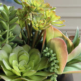 Mico Indoor-Outdoor Succulent Centerpiece - Green by Uttermost - View 4