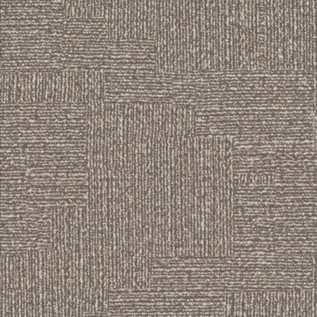 23696813