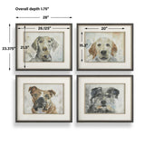 Dog Days Framed Prints (Set of 4) Black / Blue / Brown / Gray / Orange / White - Light Brown / Gray by Uttermost - View 8