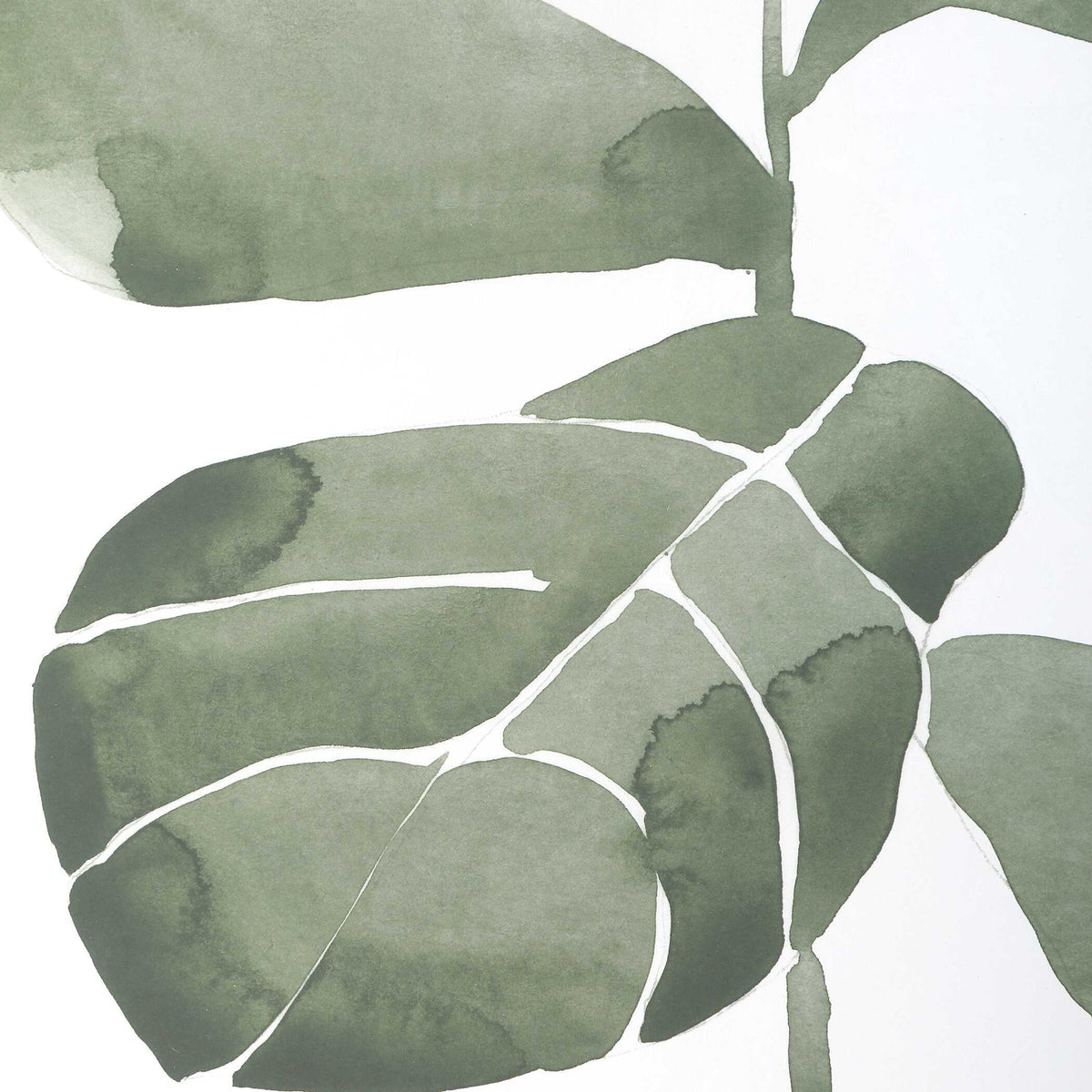 Fiddle Head Leaf Botanical Prints (Set of 4) - Green / White by Uttermost - View 5