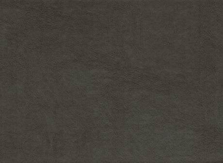 23696137