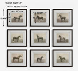 Equine Dynasty Framed Prints (Set of 9) - Gray by Uttermost - View 7