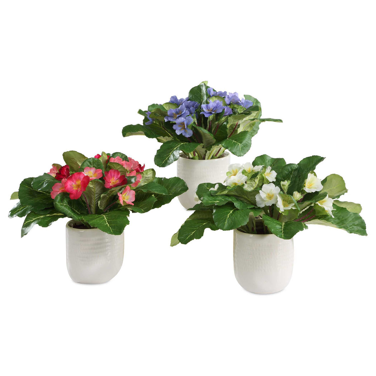 Trilogy Primrose Accents In Vases (Set of 3) - Green / White by Uttermost - View 1