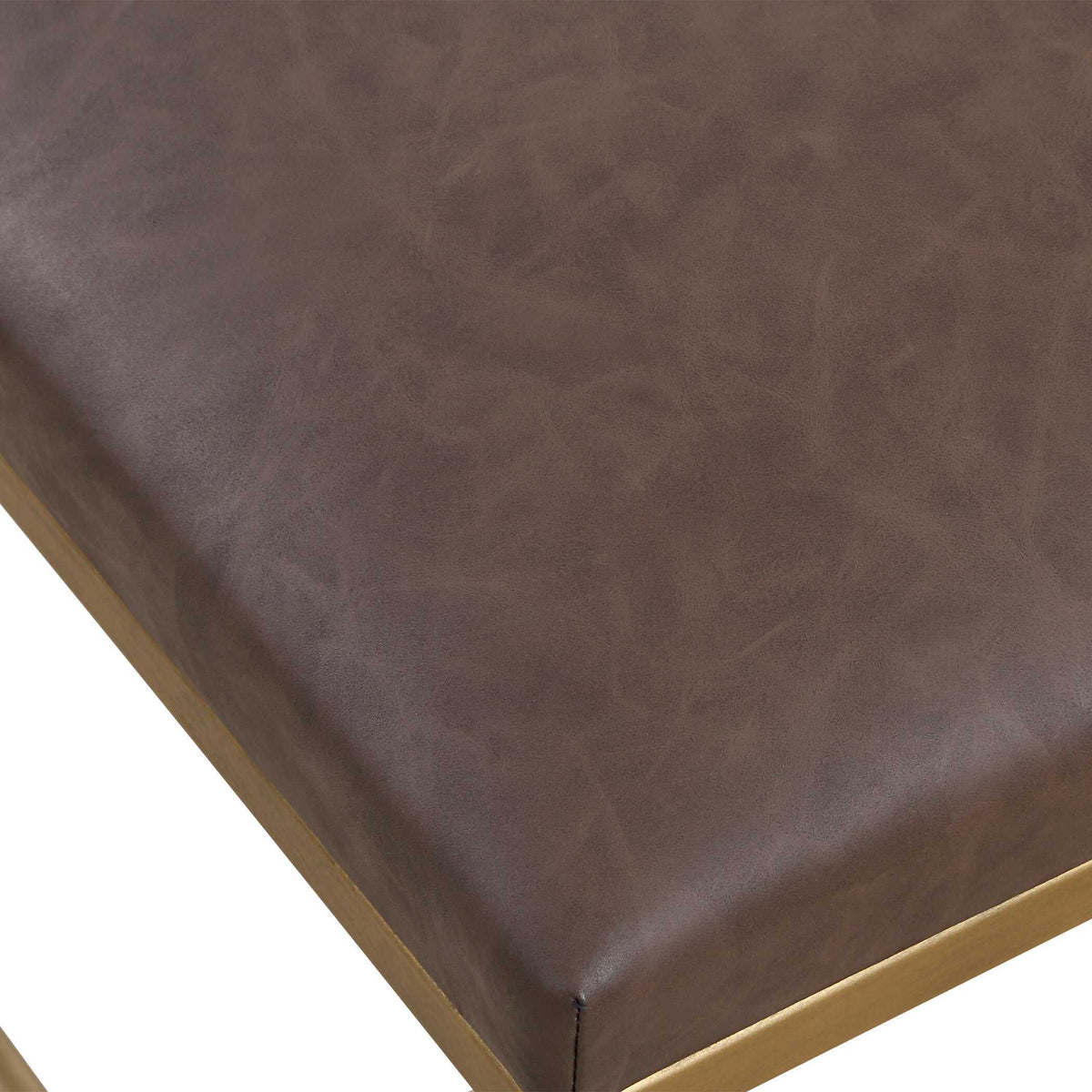 Reform Small Bench - Gold / Dark Brown by Uttermost - View 6