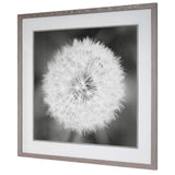 Dandelion Seedhead Framed Print - Black / White by Uttermost - View 5