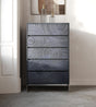 Cirque - Modern Black Ash Chest - View Image 1