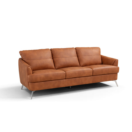 Acme - Safi Sofa LV00216 Cappuccino Leather