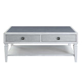 Acme - Katia Coffee Table LV01052 Rustic Gray & Weathered White Finish