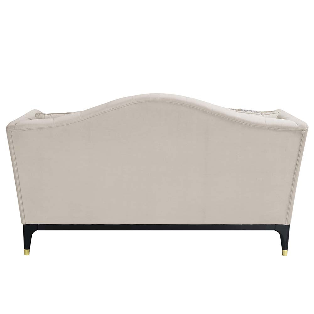 Acme - Tayden Loveseat W/4 Pillows LV01156 Beige Velvet