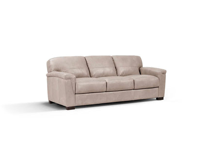 Cornelia Sofa LV01296 Beige Leather | Acme - LV01296 - Home Elegance USA - 1