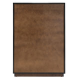 Manhattan - Contemporary Brown Oak and Gold Chest - View Image 1