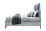 Lando Silver King Bed | Global - Home Elegance USA