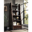 Brancaster Bookcase OF02405 Aluminum | Acme | Home Elegance USA