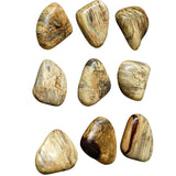 Uttermost Pebbles Wood Wall Decor - Set Of 9 - Home Elegance USA